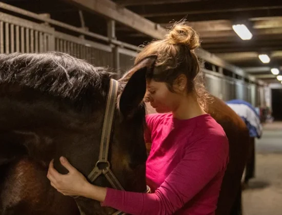 Tierarztpraxis für Chiropraktik und Akupunktur – Dr. Pia Fraté
